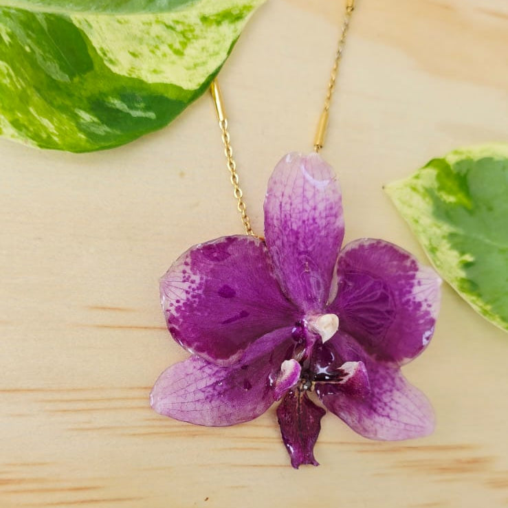Collar de orquídea Phalaenopsis mediana