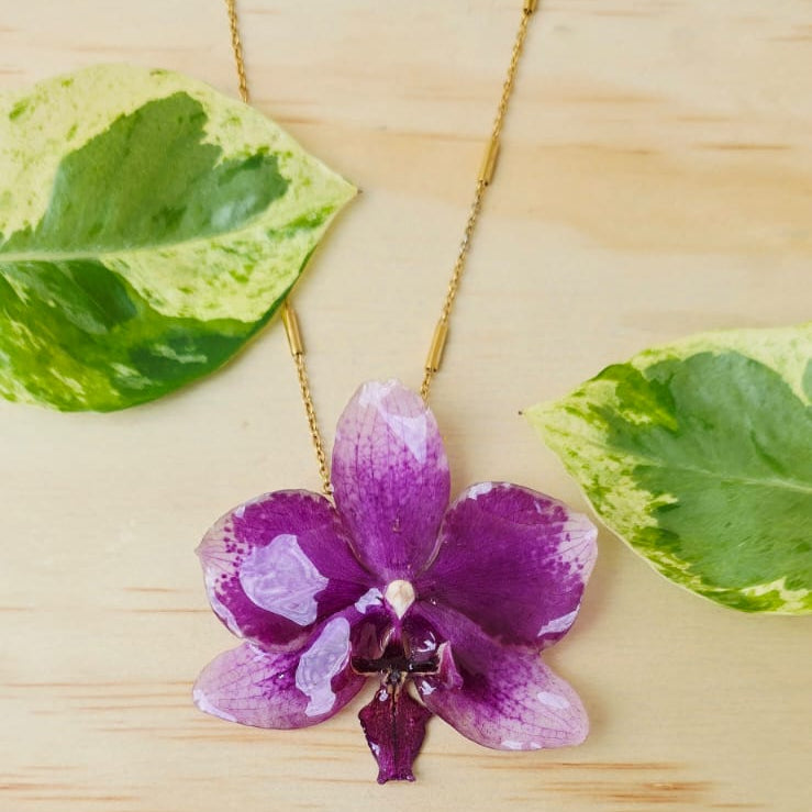 Collar de orquídea Phalaenopsis mediana