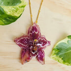 Collar orquídea Odontoglossum