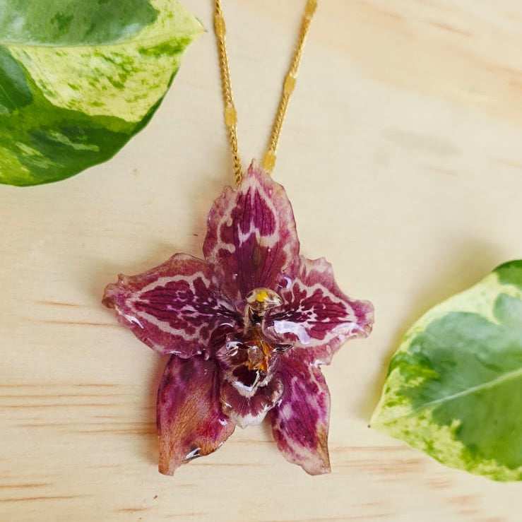 Collar orquídea Odontoglossum