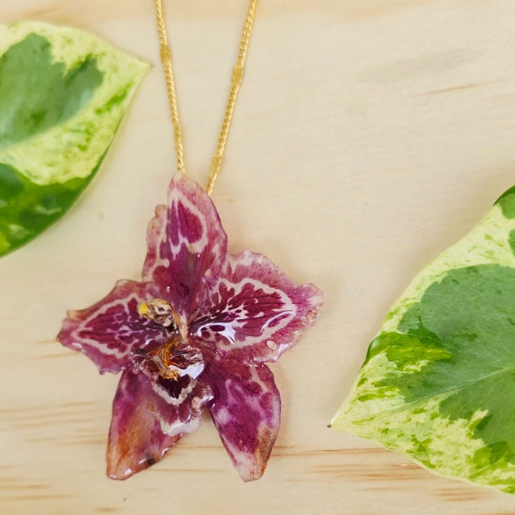 Collar orquídea Odontoglossum