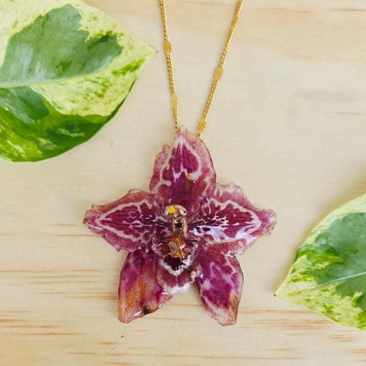 Collar orquídea Odontoglossum