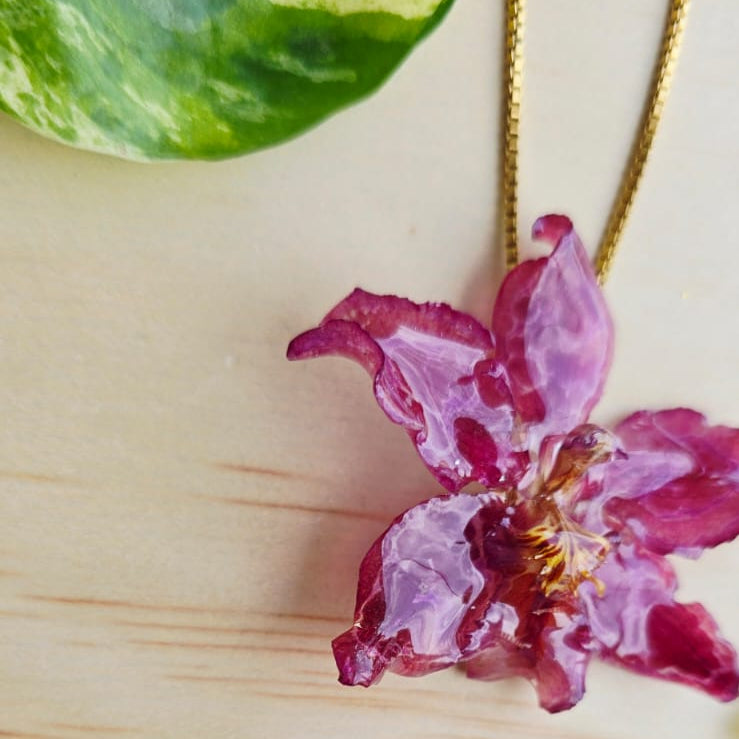 Collar orquídea Odontoglossum
