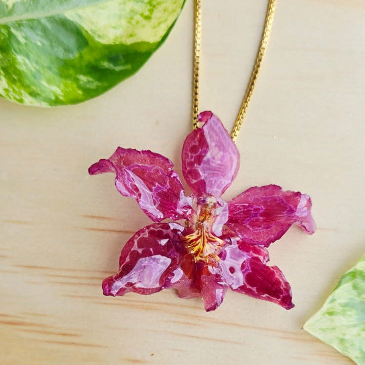 Collar orquídea Odontoglossum