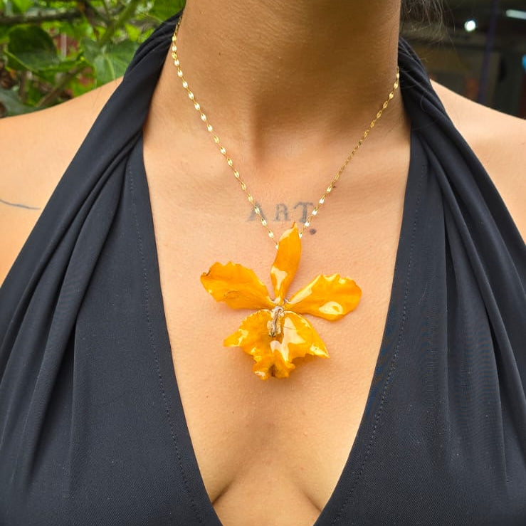 Collar orquídea híbrido Cattleya