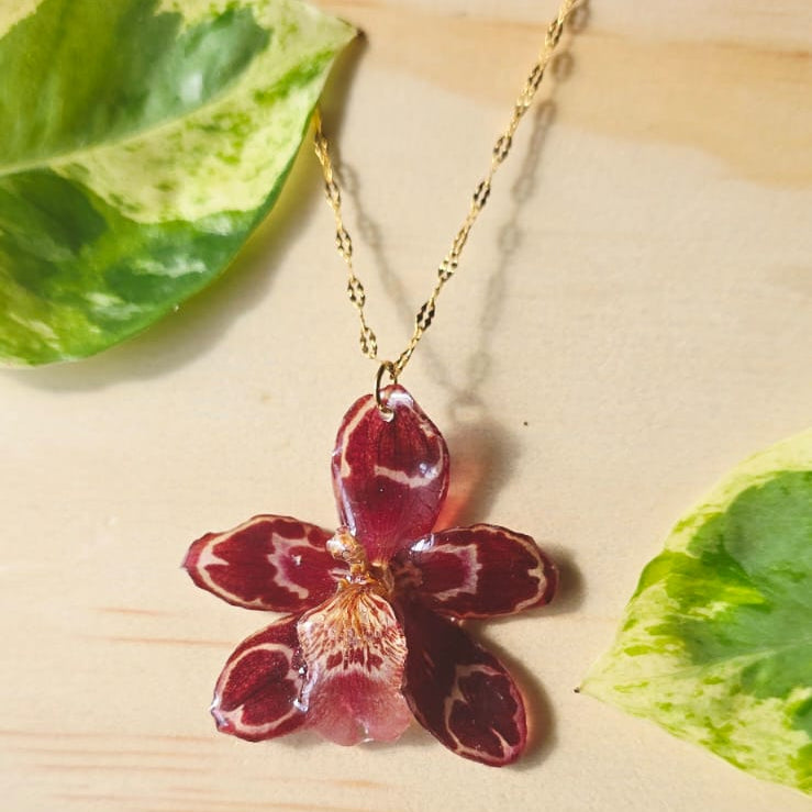 Collar orquídea Odontoglossum