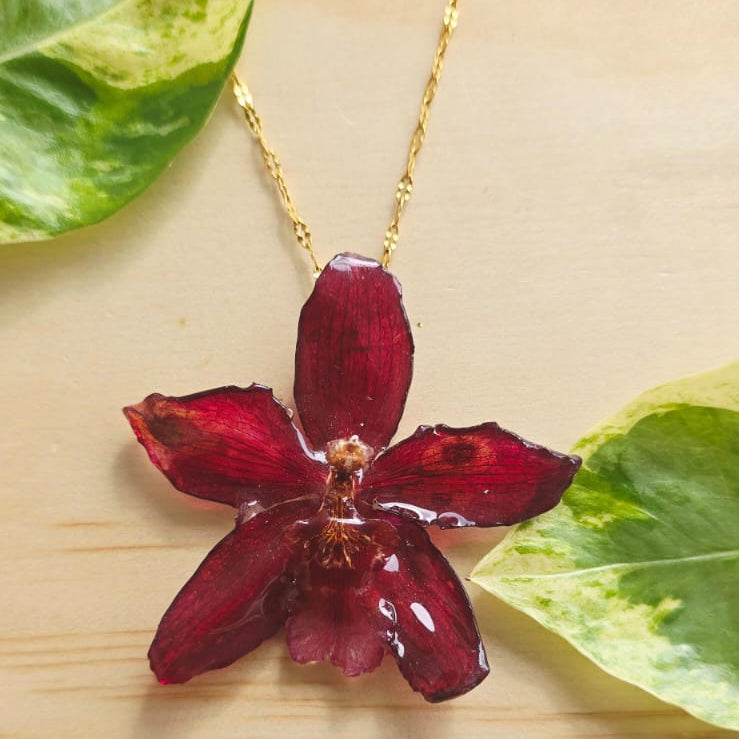 Collar orquídea Odontoglossum