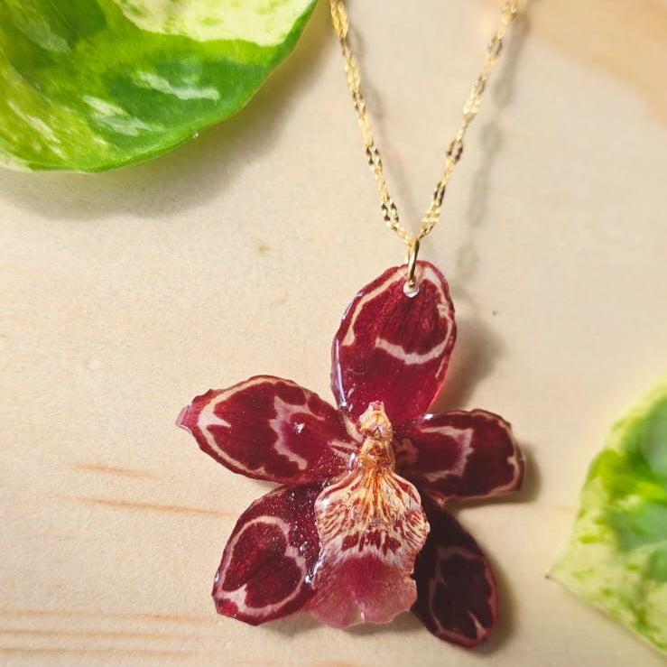 Collar orquídea Odontoglossum