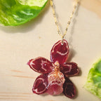 Collar orquídea Odontoglossum