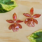 Topos orquídea Colmanara