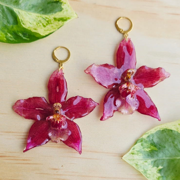 Aretes Orquídea Odontoglossum