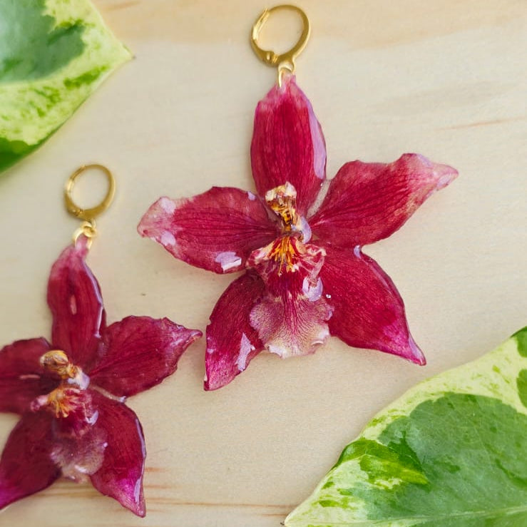 Aretes Orquídea Odontoglossum