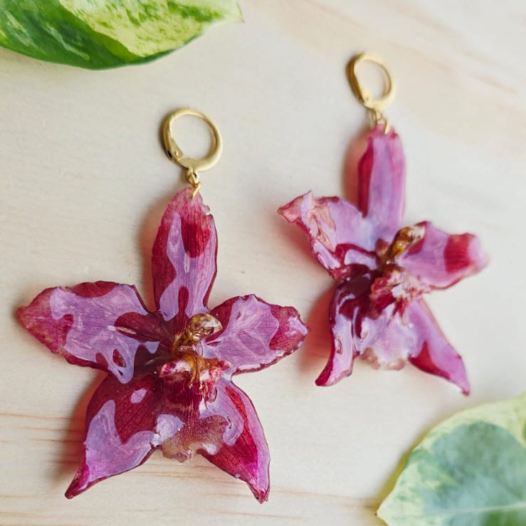 Aretes Orquídea Odontoglossum