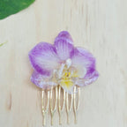Pinza orquídea Phalaenopsis