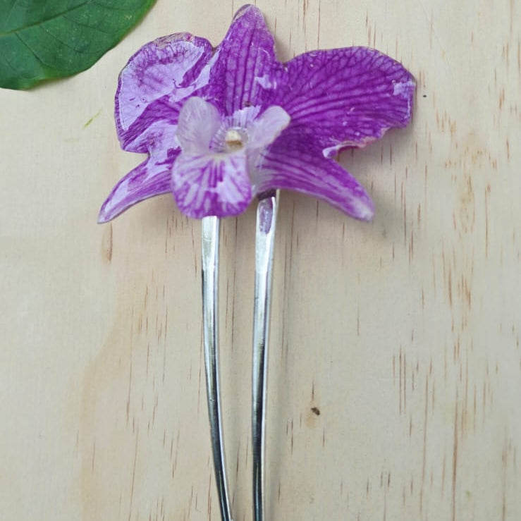 Pinza orquídea Dendrobium