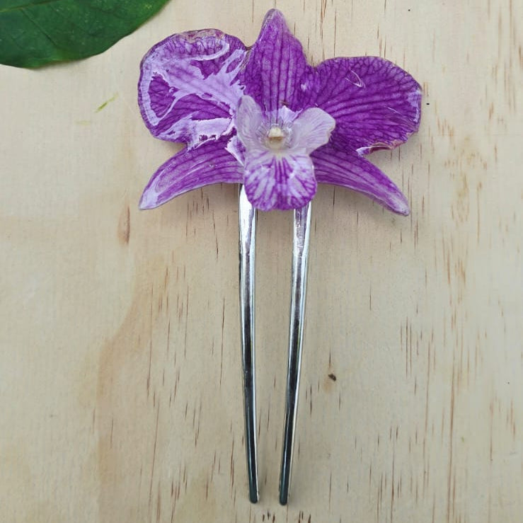 Pinza orquídea Dendrobium