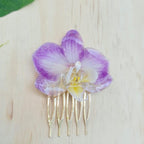 Pinza orquídea Phalaenopsis