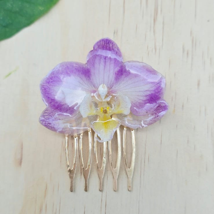 Pinza orquídea Phalaenopsis