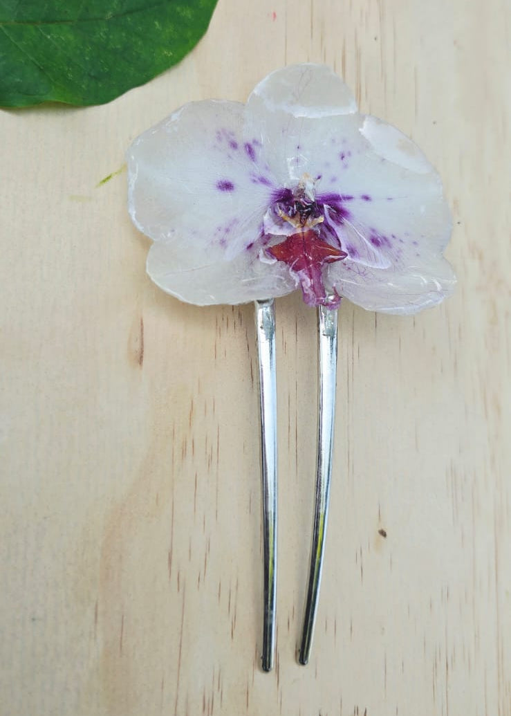 Pinza orquídea Phalaenopsis