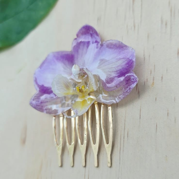 Pinza orquídea Phalaenopsis