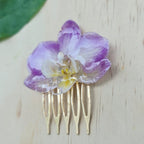 Pinza orquídea Phalaenopsis