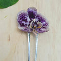 Pinza orquídea Phalaenopsis