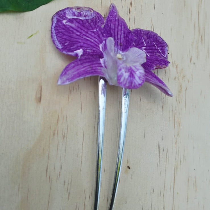 Pinza orquídea Dendrobium