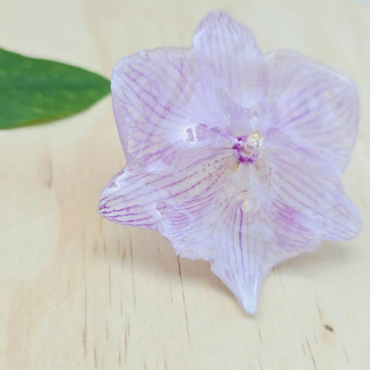 Anillo de Orquídea Phalaenopsis