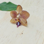 Anillo de Orquídea Phalaenopsis