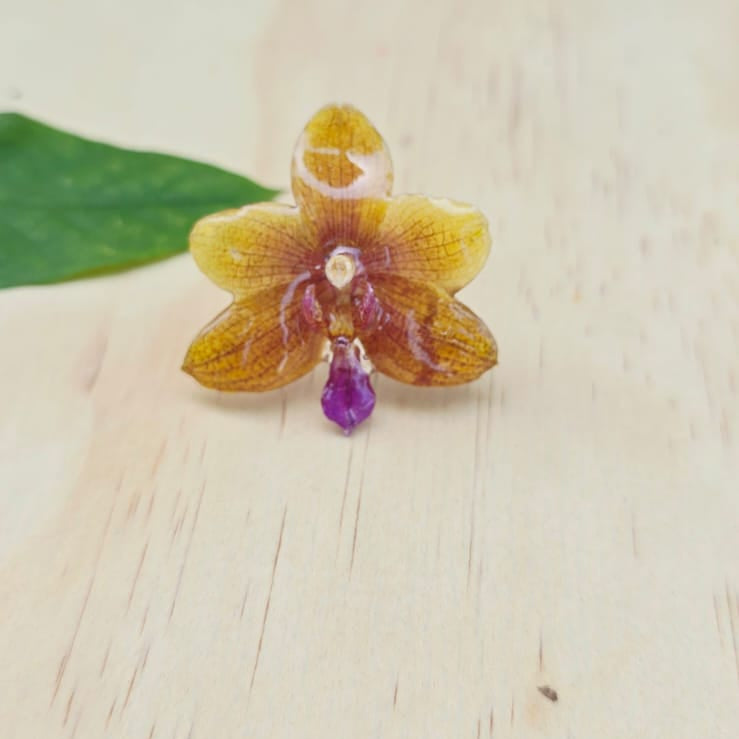 Anillo de Orquídea Phalaenopsis