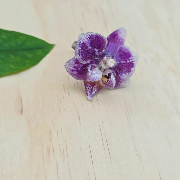 Anillo de Orquídea Phalaenopsis
