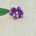 Anillo de Orquídea Phalaenopsis