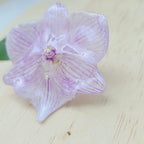 Anillo de Orquídea Phalaenopsis