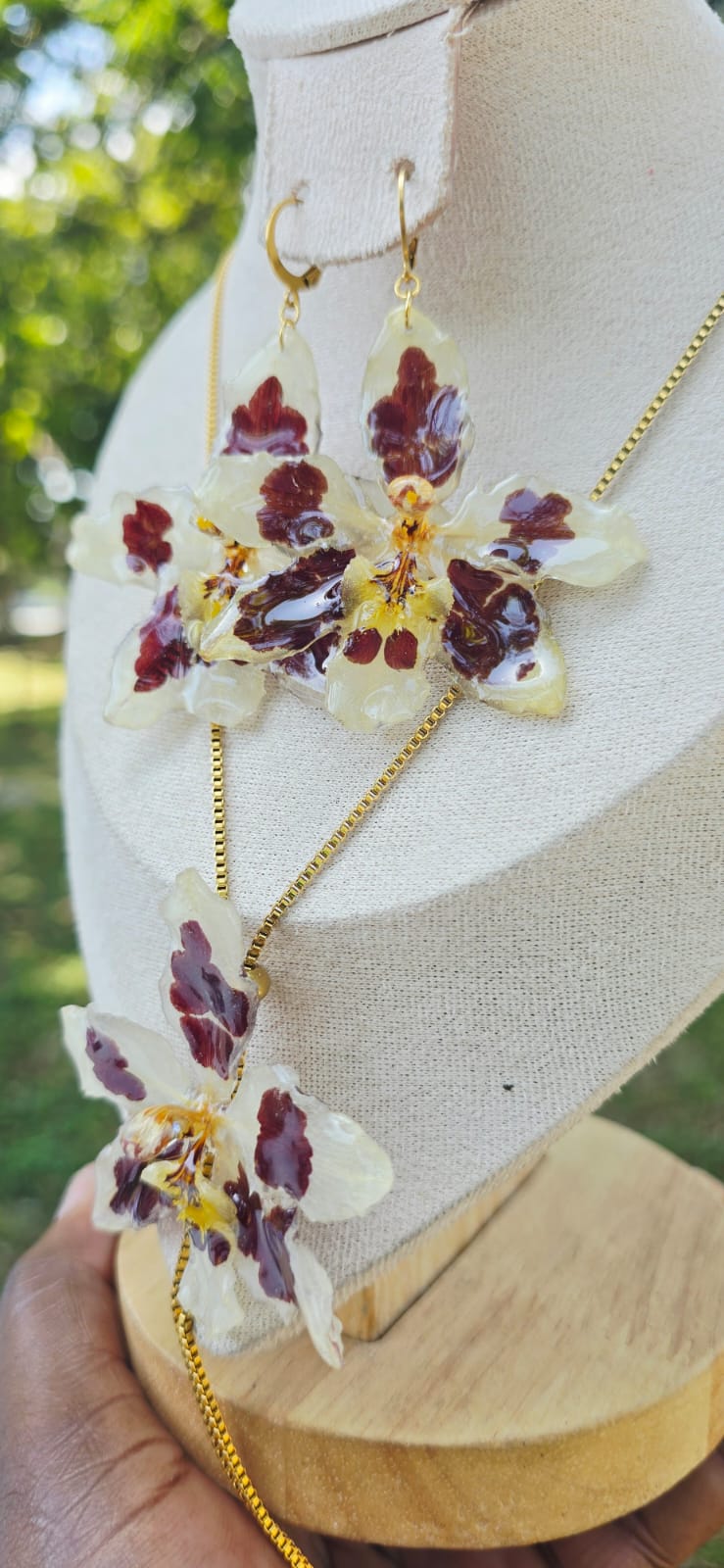 Conjunto Odontoglossum