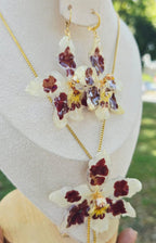 Conjunto Odontoglossum
