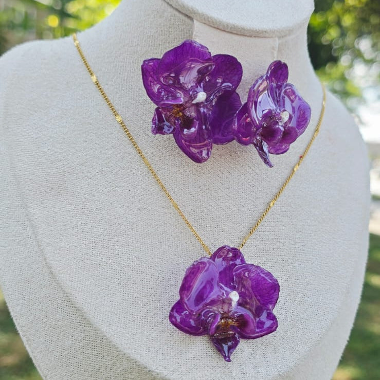 Conjunto Orquídea Phalaenopsis