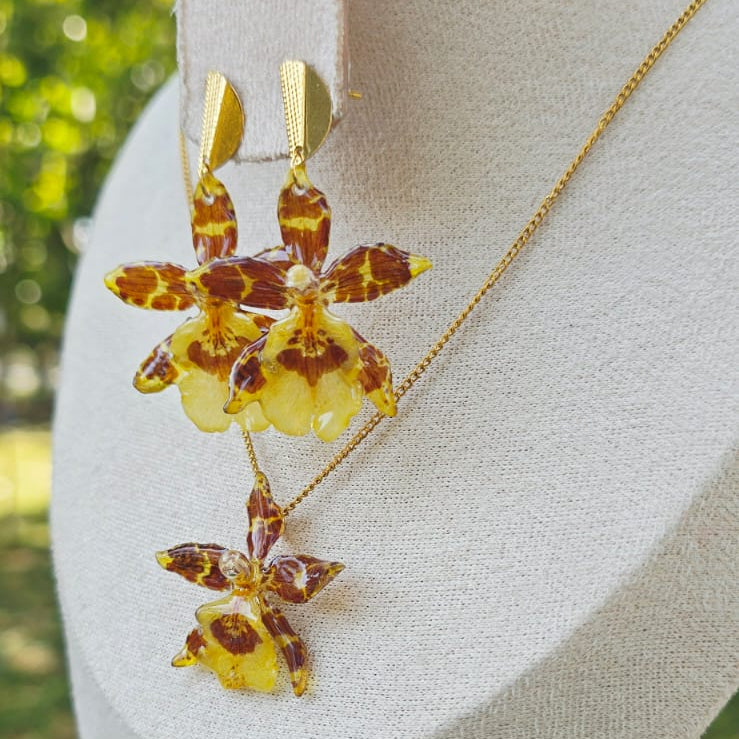 Conjunto orquídea Oncidium