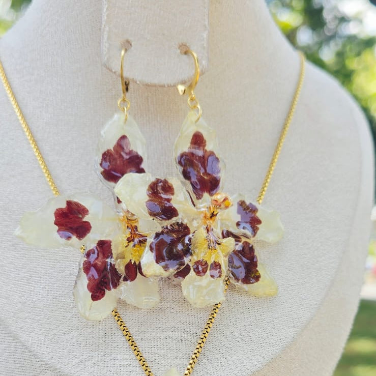 Conjunto Odontoglossum