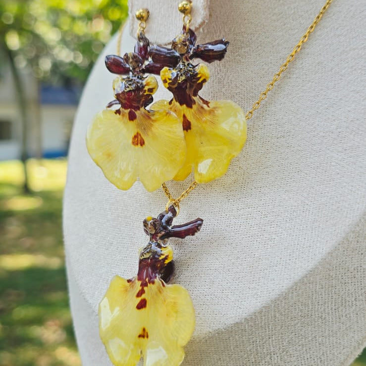 Conjunto orquídea Oncidium