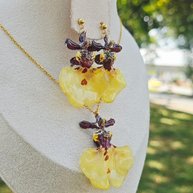 Conjunto orquídea Oncidium