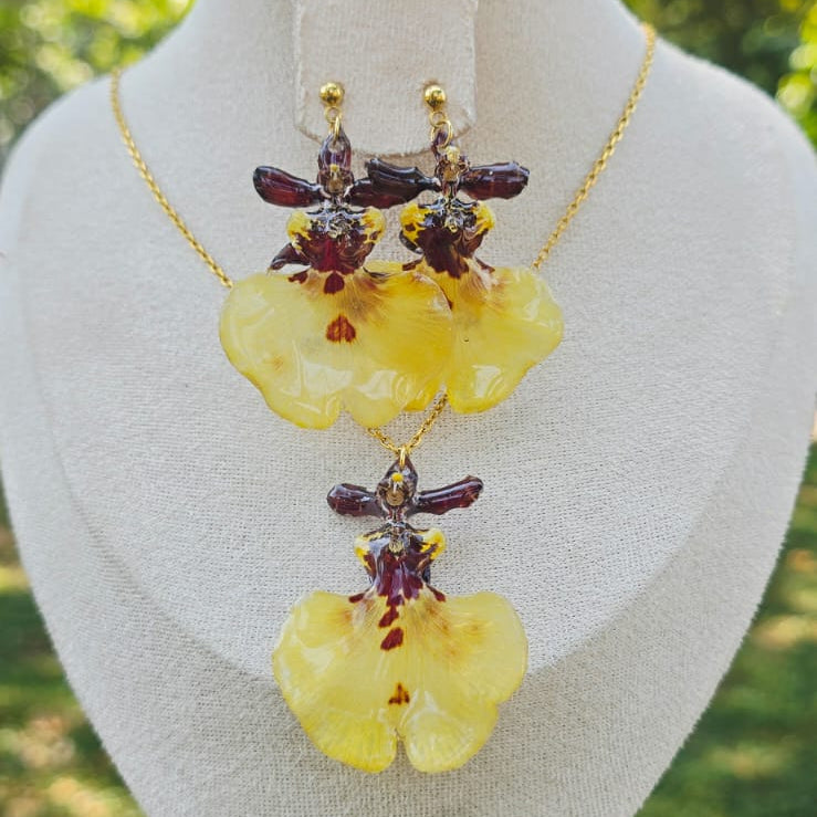 Conjunto orquídea Oncidium