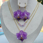 Conjunto Orquídea Phalaenopsis
