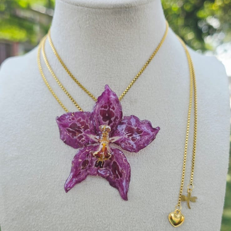 Collar ajustable orquídea Odontoglossum