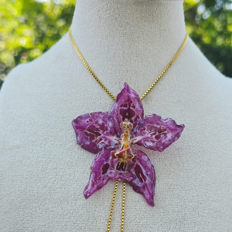 Collar ajustable orquídea Odontoglossum