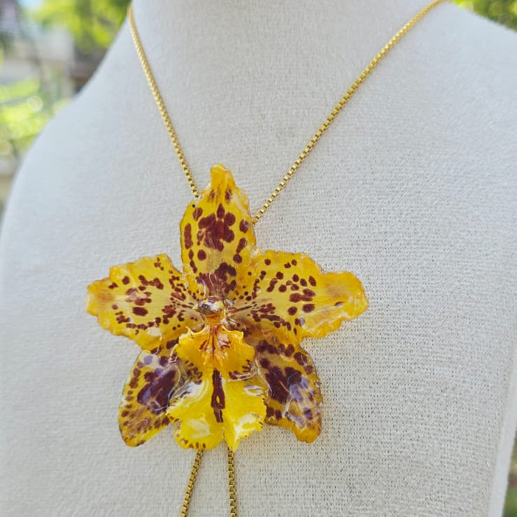 Collar ajustable orquídea Odontoglossum
