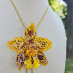 Collar ajustable orquídea Odontoglossum