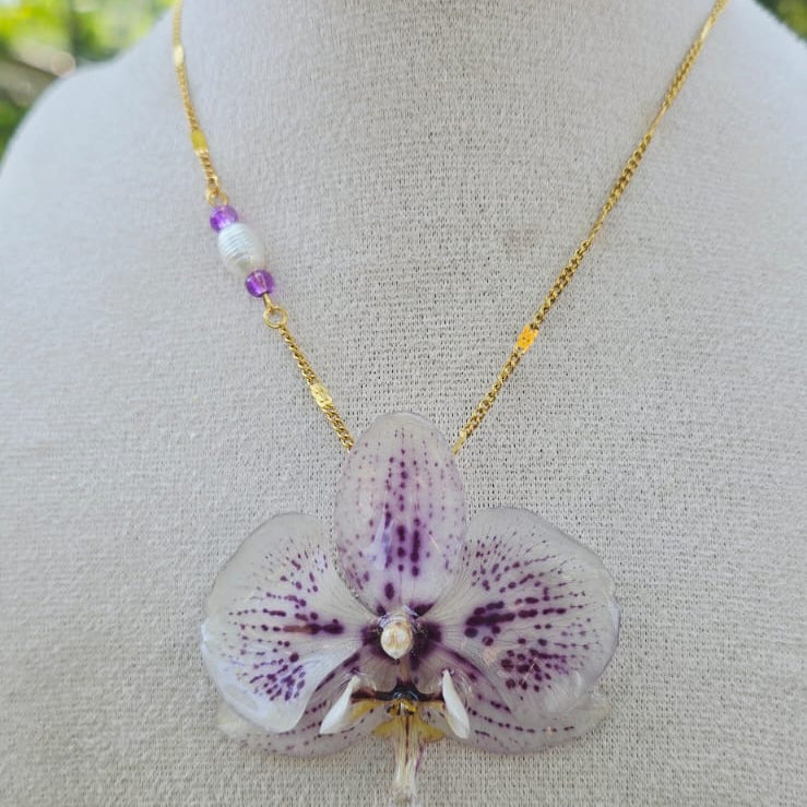 Collar orquídea Phalaenopsis