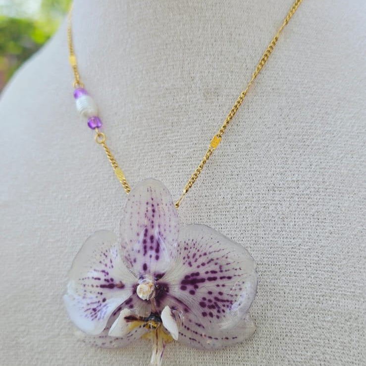 Collar orquídea Phalaenopsis