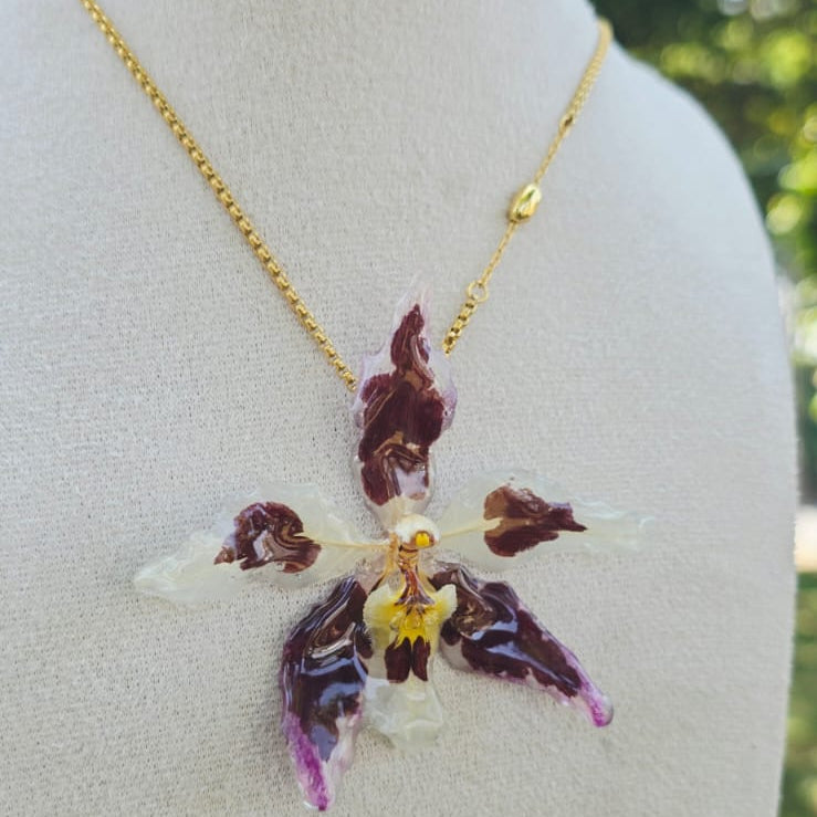 Collar orquídea Odontoglossum