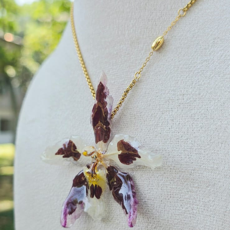 Collar orquídea Odontoglossum